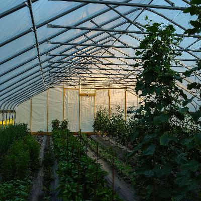 Twenty-Four Hours with Upstream Farm