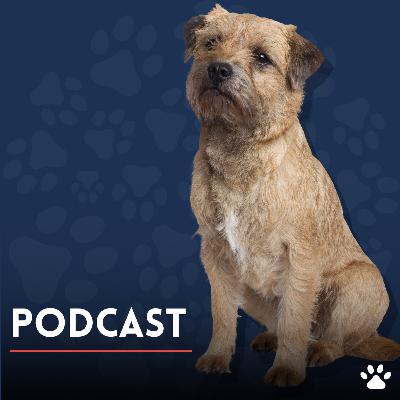¡Cuida a tu mascota como un experto!