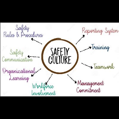 HSE Culture Decoded: What Really Drives Safety