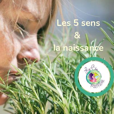 Les 5 sens & la naissance