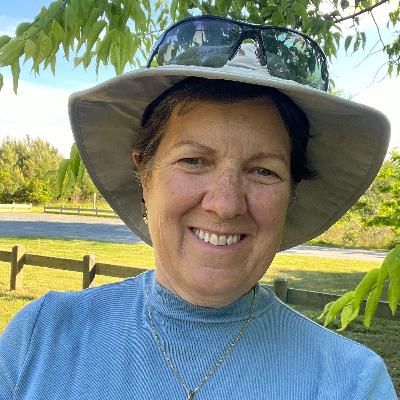 Camouflaging with Plants --Hiding the Ugly Stuff
