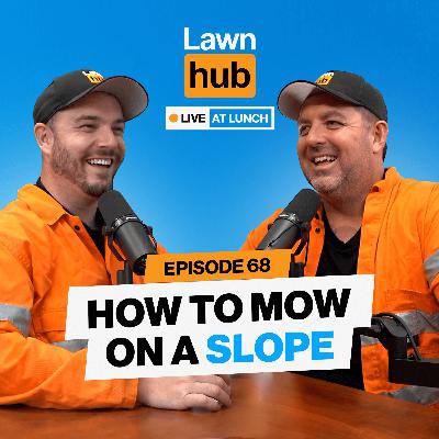 Should you core or to dress this time of year? | Lawnhub Live EP 68