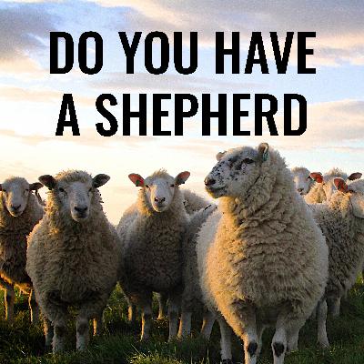 Do you have a shepherd? Do you have a shepherd?