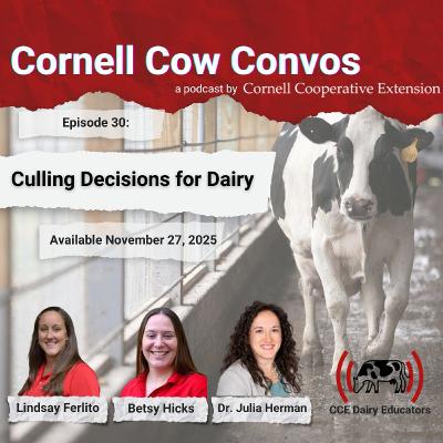 Cornell Cow Convos E30 Culling Decisions for Dairy with Dr. Herman Cornell Cow Convos E30 Culling Decisions for Dairy with Dr. Herman