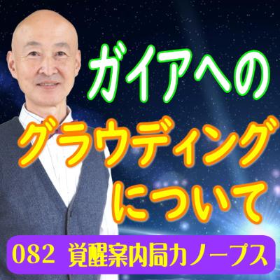 82.「ガイアへのグラウディングについて」