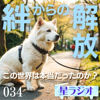 星ラジオ34「絆からの解放　この世界は本当だったのか？」
