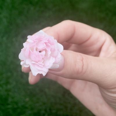 Sacred Energy Activation for Tranquility Emotional Healing and Protection.