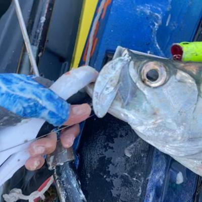 Pesca en puerto rico con Rocky Pérez