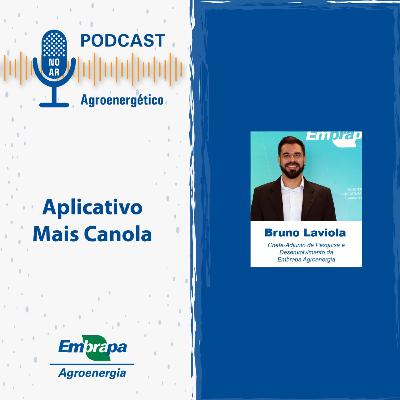 Aplicativo Mais Canola - Bruno Laviola