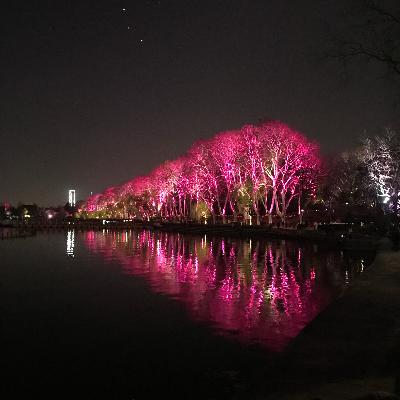 请在春天运用你的幻想 请在春天运用你的幻想