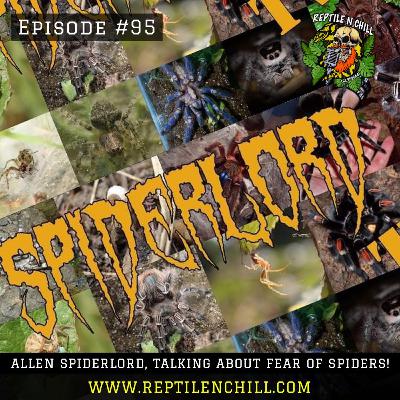 Allen AKA The Spider Lord - 95 Reptile n Chill Allen AKA The Spider Lord - 95 Reptile n Chill
