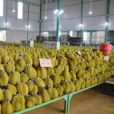 Vietnam’s exports soar to two-year high in January