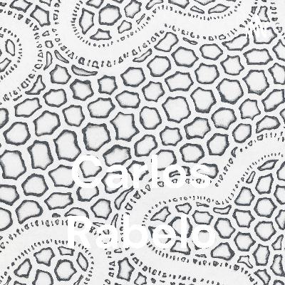 Coloca no carregador