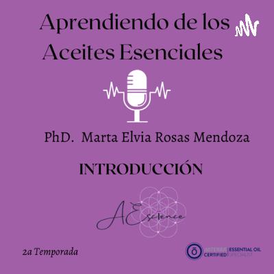 Capítulo 13 - Suplementos alimenticios / Digestión