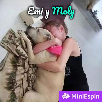 Después de recibir malas noticias, le regaló un último día de felicidad a su perrita