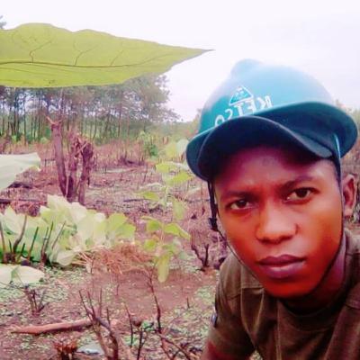 LIFE IN MAKOMBEH - Animals, trees and the impact of reforestration