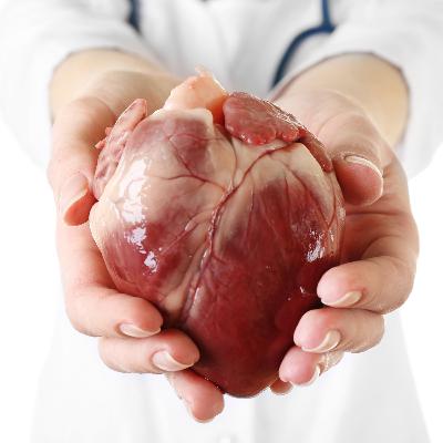 EP 22 - Ti Mangio il Cuore
