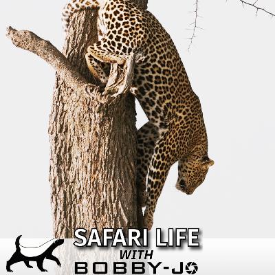 Ep12: A Leopard for Mum's Birthday