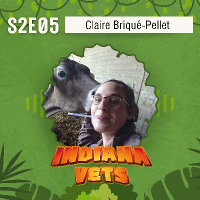 S02E05/ Interview de Claire Briqué-Pellet, vivre ses premiers pas de femme-vétérinaire en rurale 👩🏼🐮