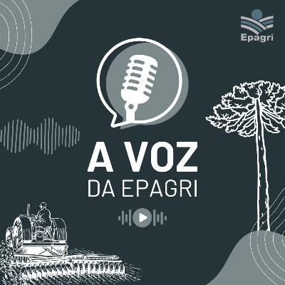 3 de outubro - A voz da Epagri