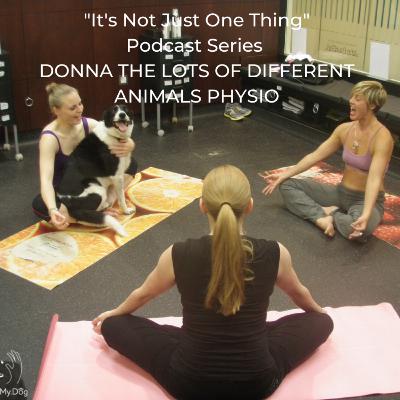 Series 2 - Ep 4 - Donna The Lots of Different Animals Physio - Part 1