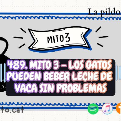 489. Mito 3 - Los gatos pueden beber leche de vaca sin problemas