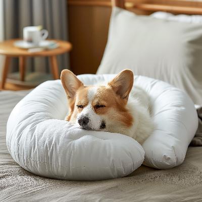中年少女近期人生状态汇报 中年少女近期人生状态汇报