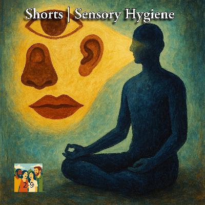 Shorts | Sensory Hygiene