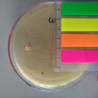 #Lablife for A Pharmacy Student 2 #Lablife for A Pharmacy Student 2