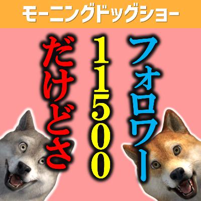 フォロワー11500人だけどさ...