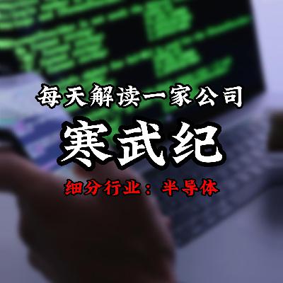 每天解读一家上市公司：寒武纪