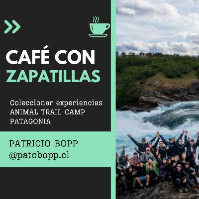 Coleccionar experiencias. ANIMAL TRAIL CAMP PATAGONIA