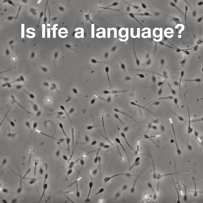 The Most Mysterious Language on Earth Isn’t Human