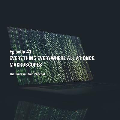 Everything Everywhere All at Once: Mapping the Bigger Picture with Macroscopes