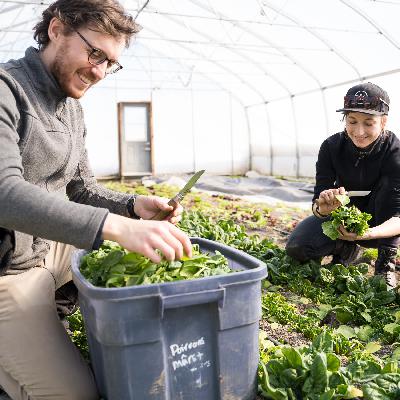 En quoi consiste la rétrospective de notre production hivernale?