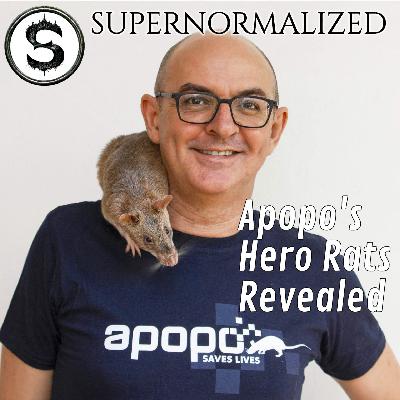 Hero Rats: The Amazing Animals Detecting Landmines (Supernormalized Podcasthon 2025)