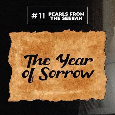 11 - The Year of Sorrow