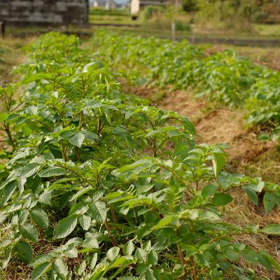 第81回 2025年の振り返り① 第81回 2025年の振り返り①