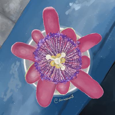 RE-NASCIMENTO. diário. dia 01.