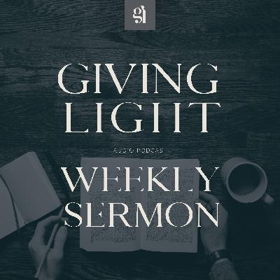 The Power & Potential of the Seed The Power & Potential of the Seed