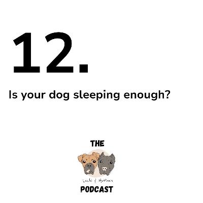 12. Is your dog sleeping enough?