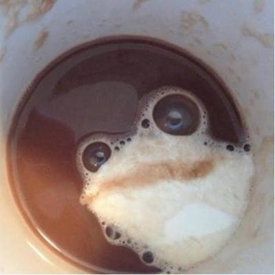 #004 Labern beim Spazieren #004 Labern beim Spazieren