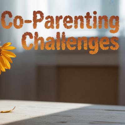 Co-Parenting in 2025 What You Need to Know NOW Co-Parenting in 2025 What You Need to Know NOW
