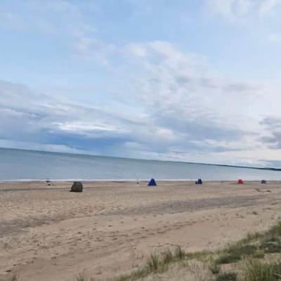 La mise à jour hebdo de la pêche à la ligne Irlandaise, 13 Juin 2025
