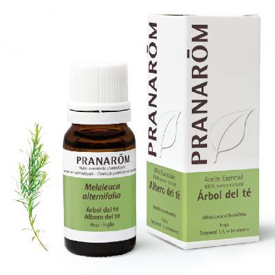 Consigli denti bianchi: Tea tree, olio essenziale BIO di Pranarom