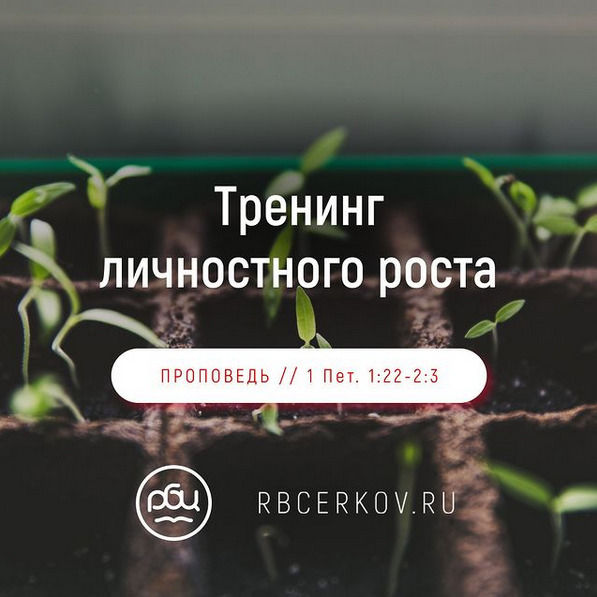 Тренинг личностного роста. Виктор Зубарев. episode artwork