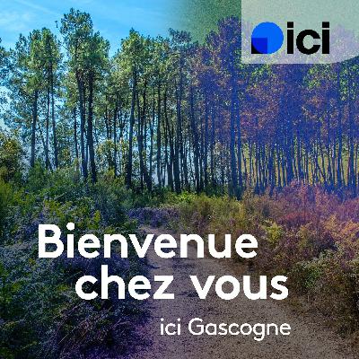 Le Catachot : la nouvelle table landaise à Arjuzanx Le Catachot : la nouvelle table landaise à Arjuzanx