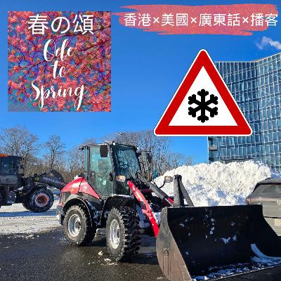 波士頓 Home Depot 關門為剷雪