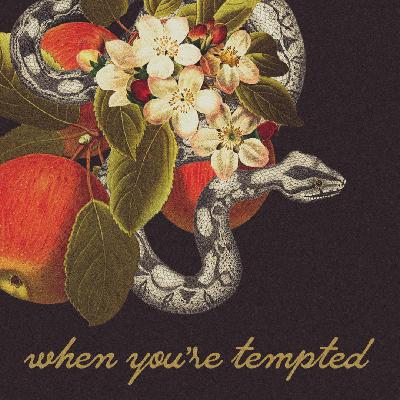 Consider The Consequences | 3 - When You’re Tempted Consider The Consequences | 3 - When You’re Tempted