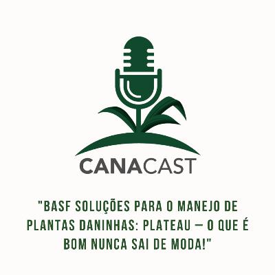 BASF SOLUÇÕES PARA O MANEJO DE PLANTAS DANINHAS: PLATEAU – O QUE É BOM NUNCA SAI DE MODA!